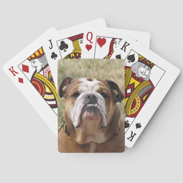 Englisch Bull dog Deck Spielkarten (Rückseite)