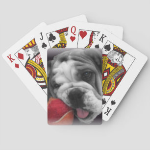 Englisch Bull dog Deck Spielkarten