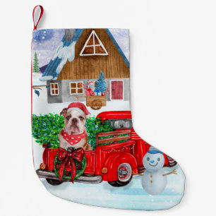 Englisch Bulldog in Christmas Delivery LKW Schnee Kleiner Weihnachtsstrumpf