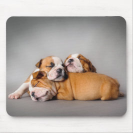 Englisch-Bulldog schlafen Mousepad