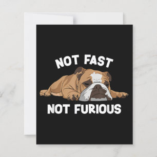 Englisch Bulldog schlafen nicht schnell, nicht wüt