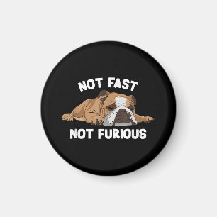 Englisch Bulldog schlafen nicht schnell, nicht wüt Magnet