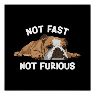 Englisch Bulldog schlafen nicht schnell, nicht wüt Poster