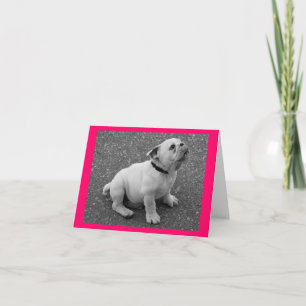 Englisch Bulldoggen-Welpen-Hund Leer Grußkarte Karte