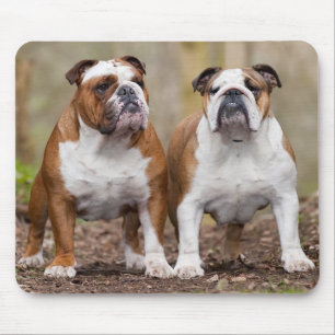 Englisch Bulldoggen-Welpen-Mauspad Mousepad