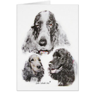 Englisch Cocker spaniel