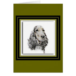 Englisch Cocker spaniel