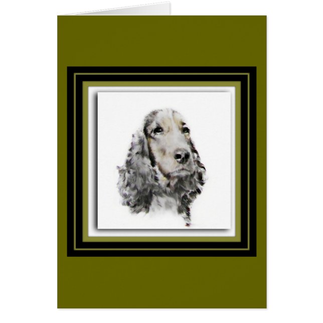 Englisch Cocker spaniel (Vorne)
