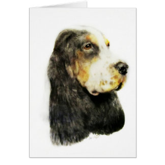 Englisch Cocker spaniel