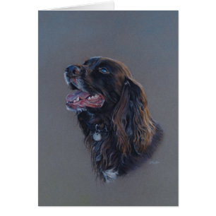 Englisch-Cocker spaniel-Hund. Schöne Kunst, leere