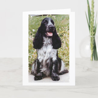 Englisch-Cocker spaniel-Hunderaum-Gruß-Karte Karte