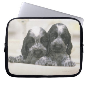 Englisch Cocker spaniel Laptopschutzhülle