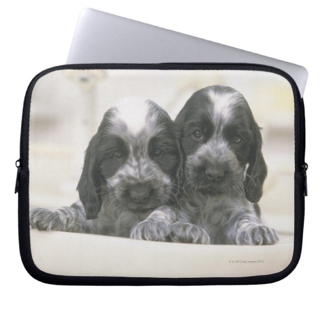 Englisch Cocker spaniel Laptopschutzhülle (Vorderseite)
