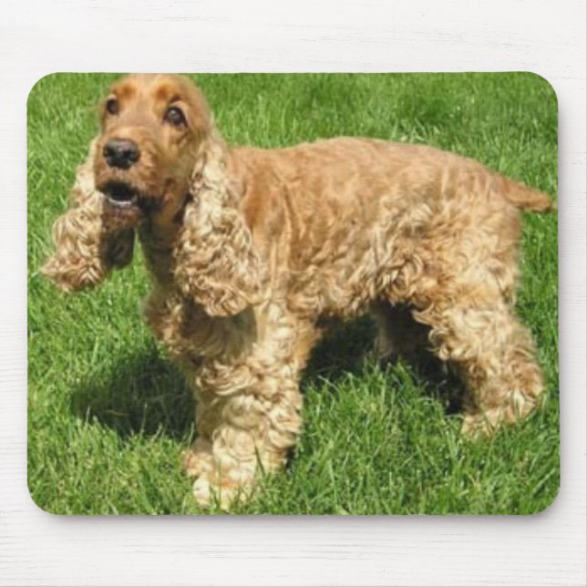 Englisch Cocker spaniel Mousepad (Vorne)