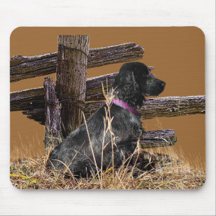 Englisch Cocker spaniel Mousepad