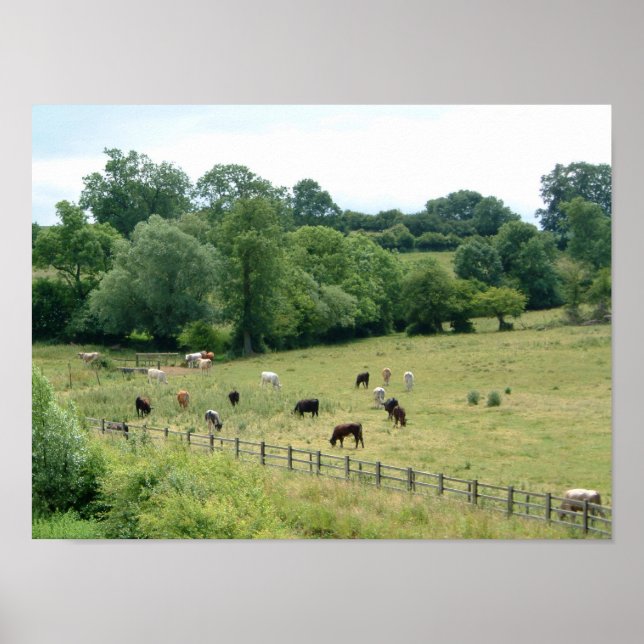 Englisch Farmland Poster (Vorne)