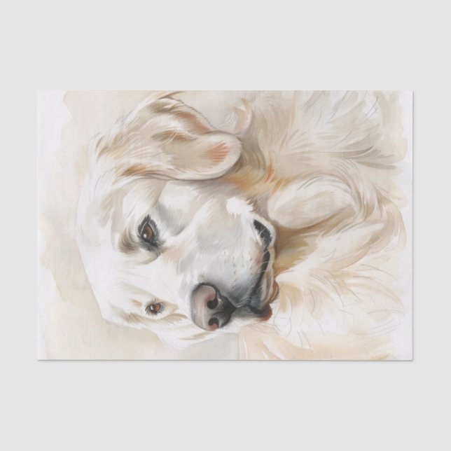 Englisch Golden Retriever7 Seidenpapier (Vorderseite)