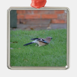 Englisch Jay Silbernes Ornament