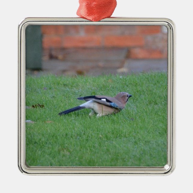 Englisch Jay Silbernes Ornament (Vorne)
