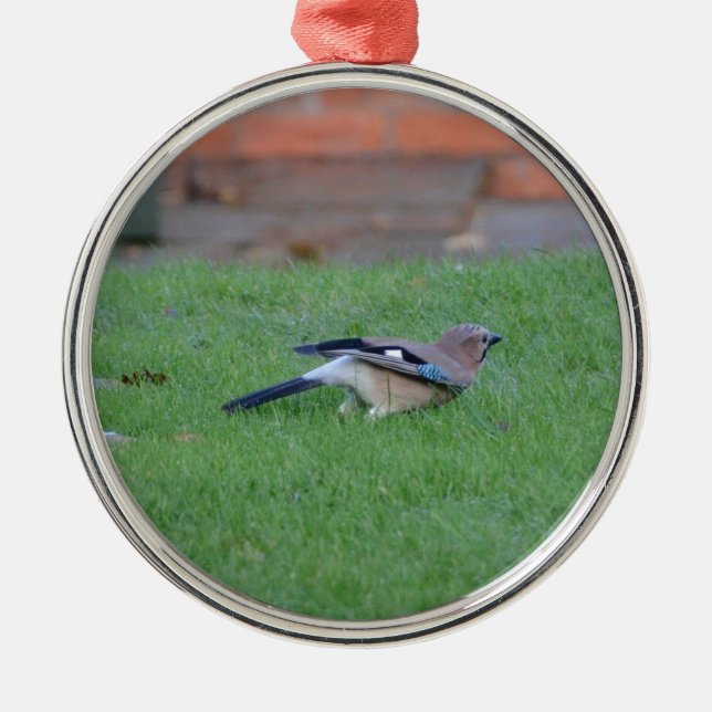 Englisch Jay Silbernes Ornament (Vorne)