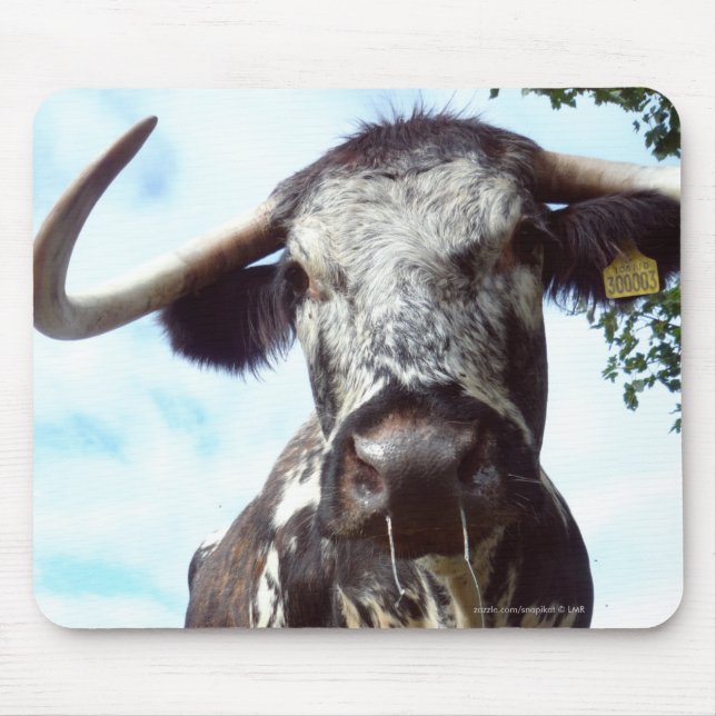 Englisch-Longhorn-Vieh-Kuh Mousepad (Vorne)