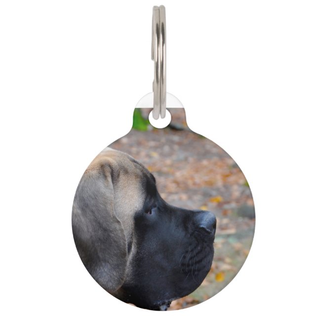 Englisch Mastiff Hund. Haustiermarke (Vorderseite)