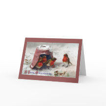 Englisch Robins Under Flower pot Weihnachten