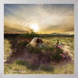 Englisch Setter, Fasanierjagd Poster