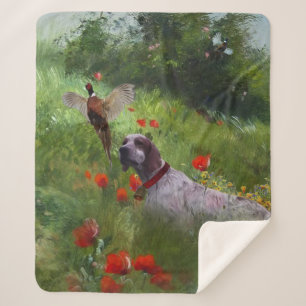 Englisch Setter, Fasanierjagd Sherpadecke
