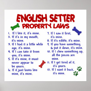ENGLISCH SETTER PL2 POSTER
