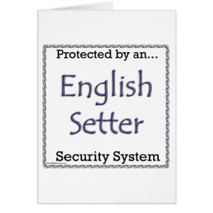 Englisch Setter Security System