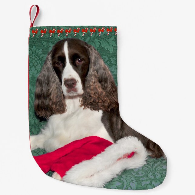 Englisch Springer Spanier Weihnachtszeit Strumpf Kleiner Weihnachtsstrumpf (Vorderseite)