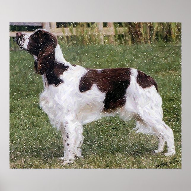 Englisch Springer Spanisch Dog Portrait Poster Pri (Vorne)