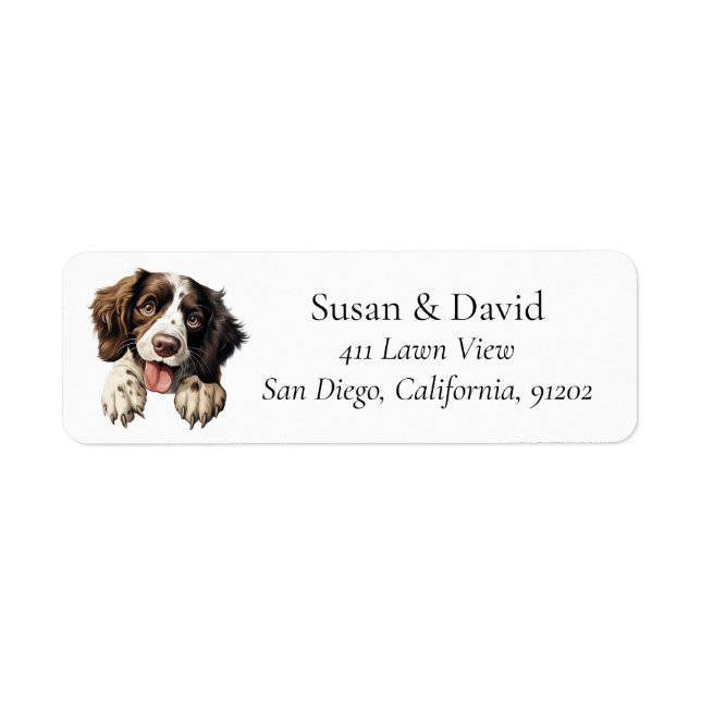 Englisch Springer Spanisch Hund Rasse Pet Lovers (Vorne)