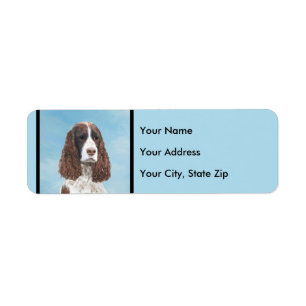 Englisch Springer Spanisch Malerei Original Hund K