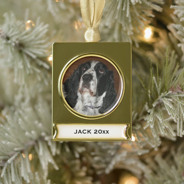 Englisch Springer Spanisch Pet Foto Banner-Ornament Gold (Baum)