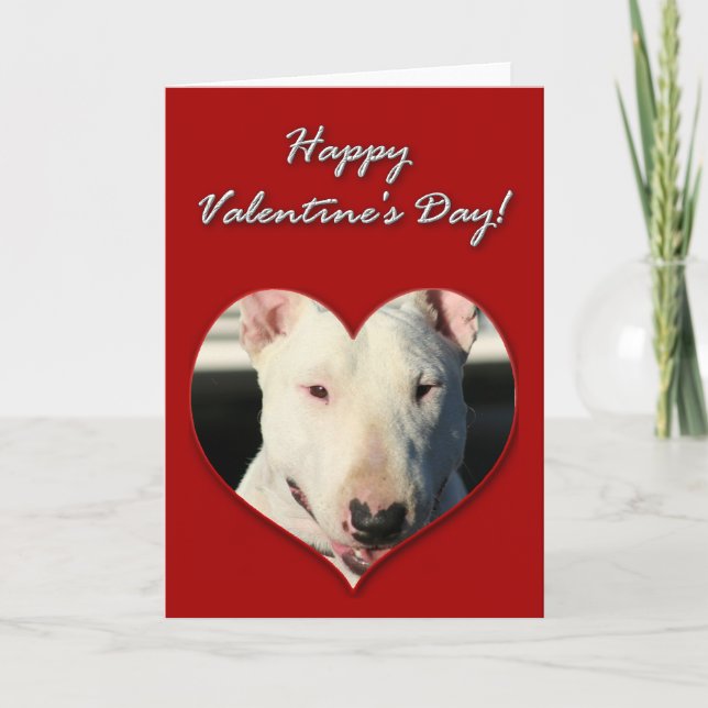 Englisch-Stier-Terrier-Valentinstag-Karte Feiertagskarte (Vorderseite)