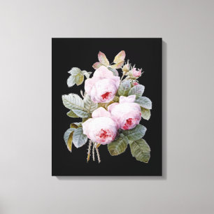Englische Bourbon-Rosen Bouquet auf Schwarz von Re Leinwanddruck
