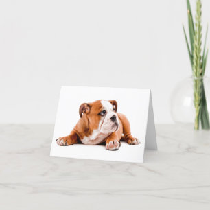 Englische Bulldog Welpe Blank Note Card Karte