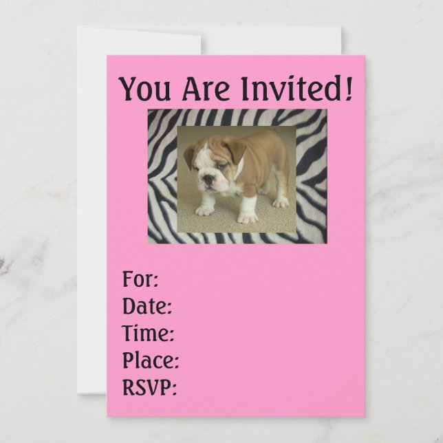 Englische Bulldog Welpe Zebra & Pink Einladungen (Vorderseite)