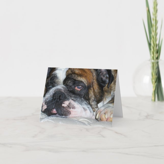 Englische Bulldogfalzkarte Karte (Vorderseite)
