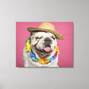 Englische Bulldogge (18 Monate alte) ein Stroh Leinwanddruck