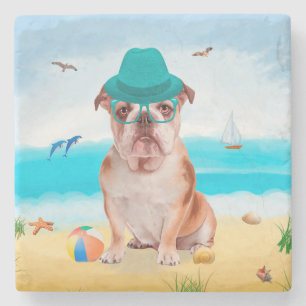 Englische Bulldogge am Strand Steinuntersetzer