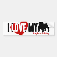 Englische Bulldogge