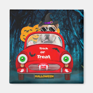 Englische Bulldogge fährt Auto Gruseliges Hallowee Magnet