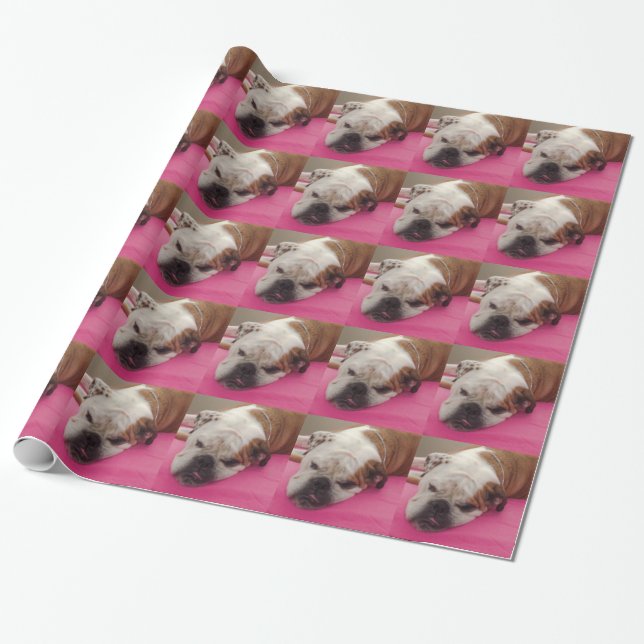 Englische Bulldogge Geschenkpapier (Ungerollt)