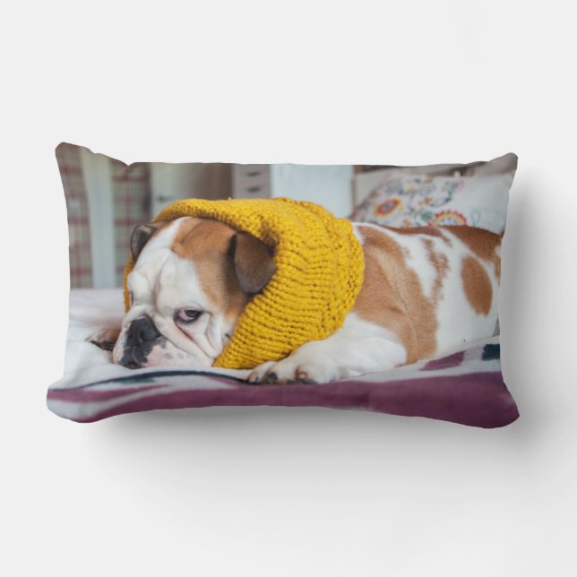 Englische Bulldogge Getty Bild-| Lendenkissen (Vorderseite)