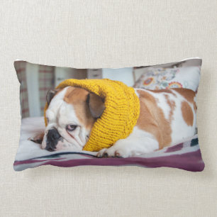 Englische Bulldogge Getty Bild- Lendenkissen