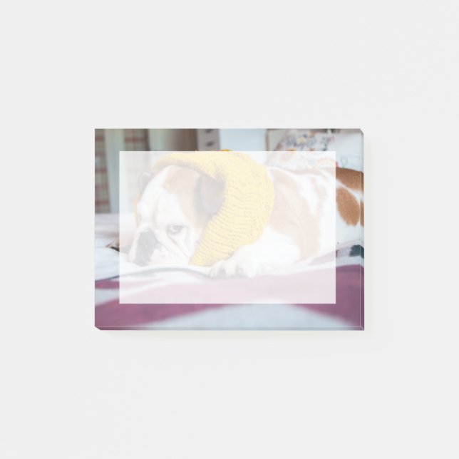 Englische Bulldogge Getty Bild-| Post-it Klebezettel (Vorderseite)