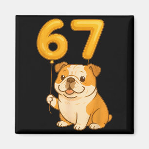 Englische Bulldogge Hund Lustig 67 Meme Six Seven  Magnet